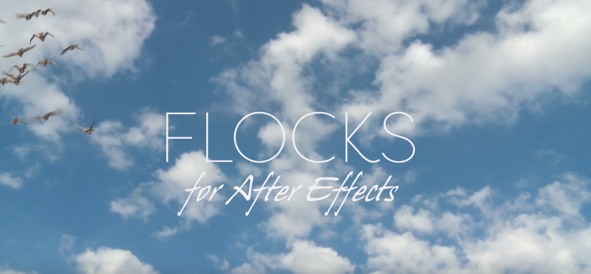 flocks for after effects free download
