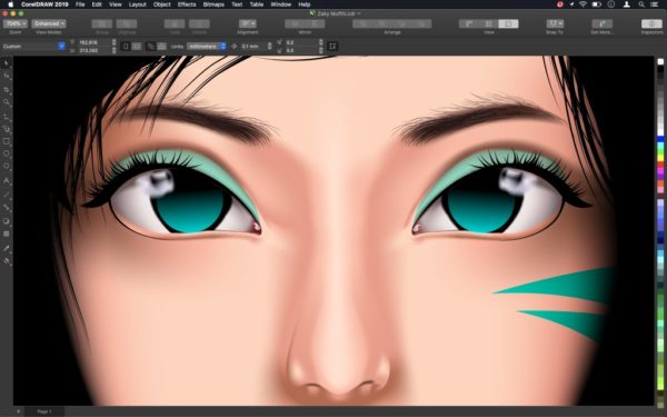 corel coreldraw graphics suite 2019