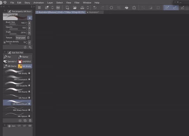 Clip Studio Paint EX 3.0 full