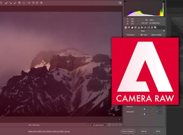 Adobe Camera RAW