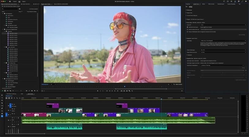 Colores Premiere Pro